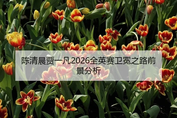 陈清晨贾一凡2026全英赛卫冕之路前景分析